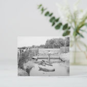 フロリダのアリゲーターショー， 1904 ポストカード (スタンド正面)