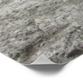 フロリダのアートポスター、オカラの馬 ポスター (角)