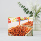 フロリダのオレンジ ポストカード (スタンド正面)