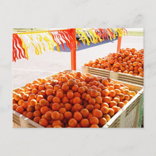 フロリダのオレンジ ポストカード (正面)