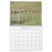 フロリダのカラカラ カレンダー (2月 2026)