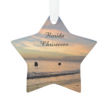 フロリダのクリスマスのオーナメント