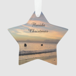 フロリダのクリスマスのオーナメント オーナメント