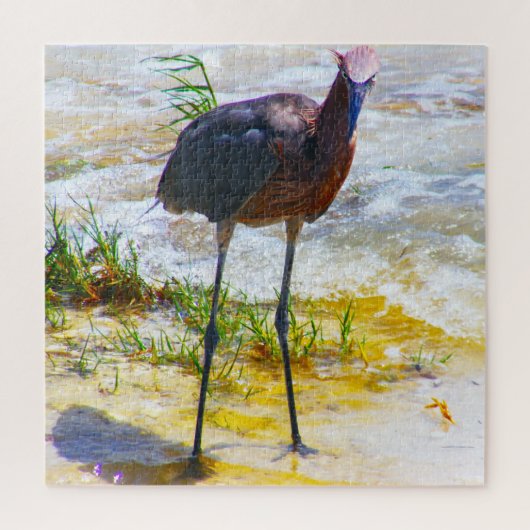 フロリダのサニベルが大好き ジグソーパズル (縦)