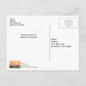 フロリダのシーオーツの日の出感謝カード ポストカード (裏面)