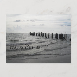 フロリダのストランドペリカンGeburtstagskarte ポストカード