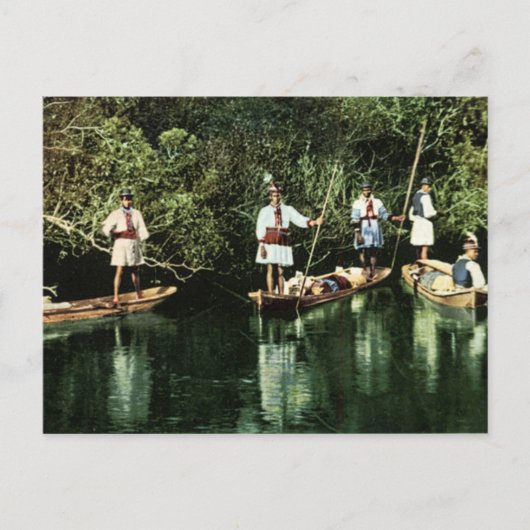 フロリダのセミノール ポストカード (正面)