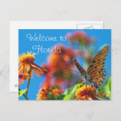 フロリダのバター状はがき ポストカード (正面/裏面)