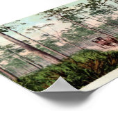 フロリダのパイン・バレン ポスター (角)