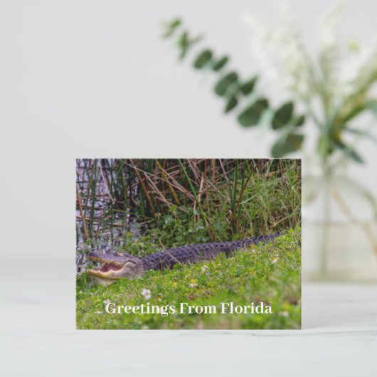 フロリダのパーソナライズからのアリゲーターの挨拶 ポストカード (スタンド正面)