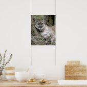 フロリダのヒョウ、フェリス・コンカラー・コーリ、 ポスター (キッチン)