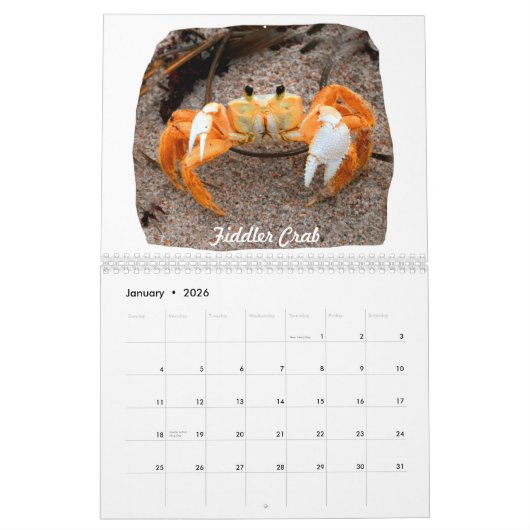 フロリダのビーチのイメージの写真 カレンダー (1月 2026)