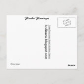 フロリダのフラミンゴ ポストカード (裏面)