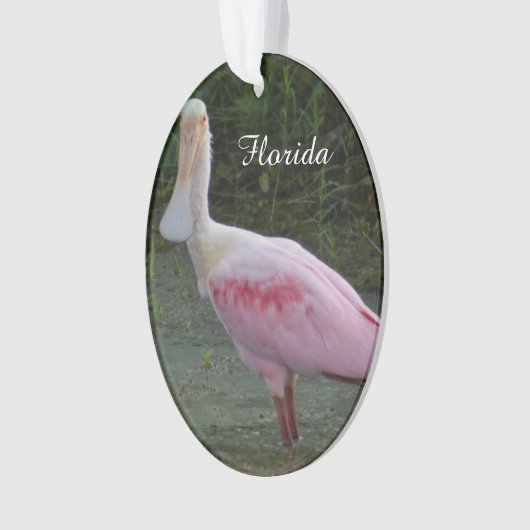 フロリダのベニヘラサギのクリスマスのオーナメント オーナメント (正面)