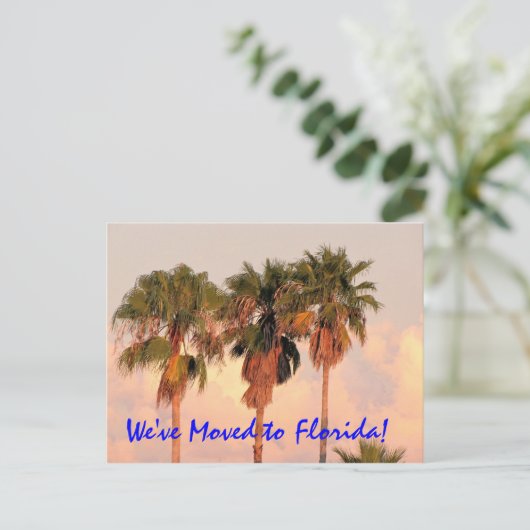 フロリダのポストカードに移動 案内ポストカード (スタンド正面)