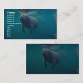 フロリダのマナティー 名刺 (正面/裏面)