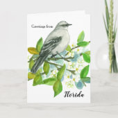 フロリダのマネシツグミのブランクからの挨拶 カード (正面)