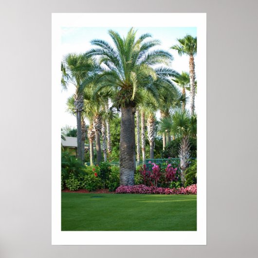 フロリダのヤシ ポスター (正面)