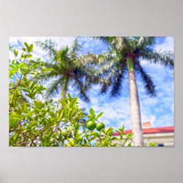 フロリダのライムクワット ポスター