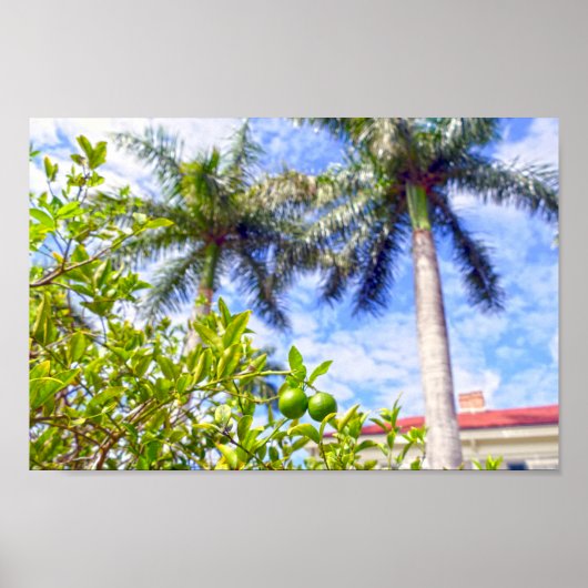 フロリダのライムクワット ポスター (正面)