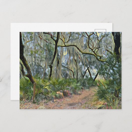 フロリダのレース スペインの苔 印象派アート ポストカード (正面/裏面)