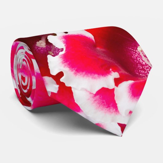 フロリダのワイゲラ花 ネクタイ (ロール)