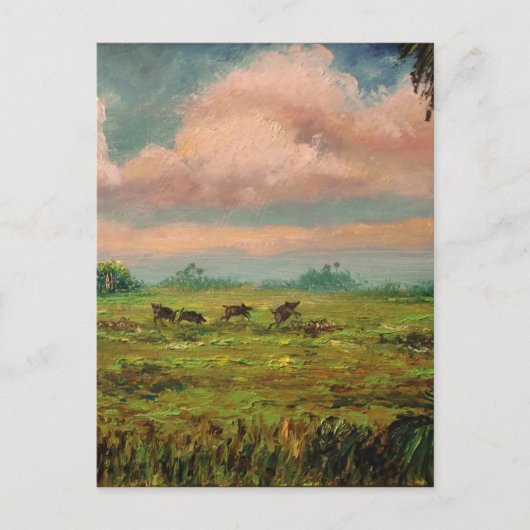 フロリダのワイルドホッグ狩り ポストカード (正面)