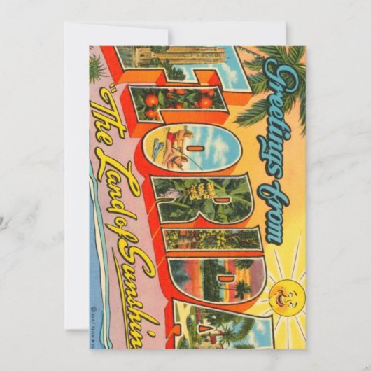 フロリダのヴィンテージはがき カード (正面)