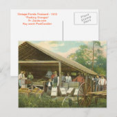 フロリダのヴィンテージはがき、"パッキングオレンジ" ポストカード (正面/裏面)