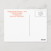 フロリダのヴィンテージはがき、"パッキングオレンジ" ポストカード (裏面)