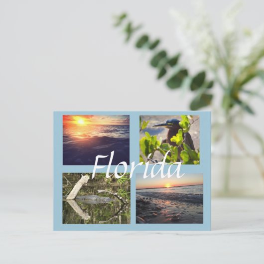 フロリダの写真撮影の郵便はがき ポストカード (スタンド正面)