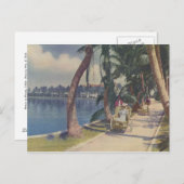 フロリダの冬， 1908年葉書 ポストカード (正面/裏面)
