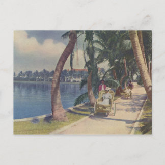 フロリダの冬， 1908年葉書 ポストカード
