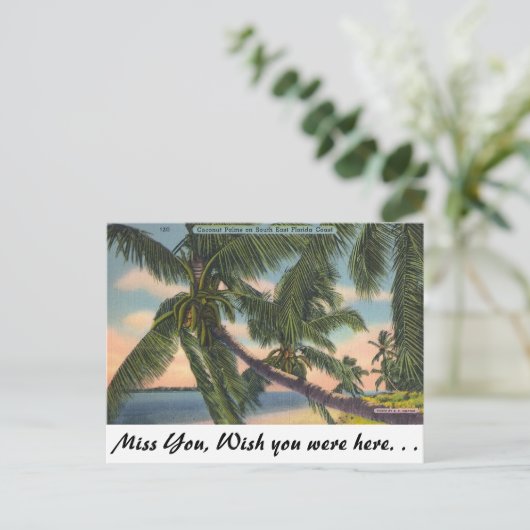 フロリダの南東の海岸のココヤシの木 ポストカード (スタンド正面)