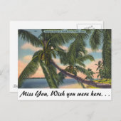 フロリダの南東の海岸のココヤシの木 ポストカード (正面/裏面)