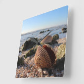 フロリダの壁時計のビーチの貝殻 スクエア壁時計 (傾斜)