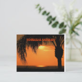 フロリダの夕日 ポストカード (スタンド正面)