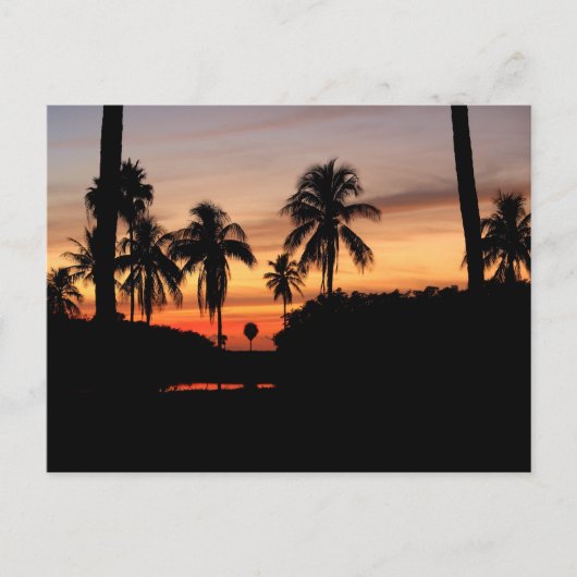 フロリダの夕日 ポストカード (正面)