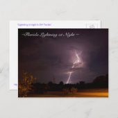 フロリダの夜の稲妻 ポストカード (正面/裏面)