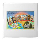 フロリダの州#1 FLの古いヴィンテージ旅行記念品 タイル (正面)