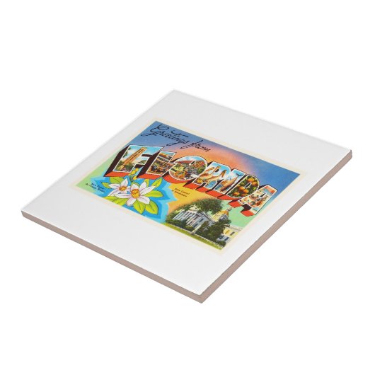 フロリダの州#1 FLの古いヴィンテージ旅行記念品 タイル (側面)