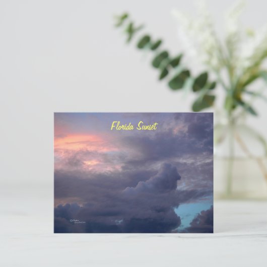 フロリダの日没はがき ポストカード (スタンド正面)
