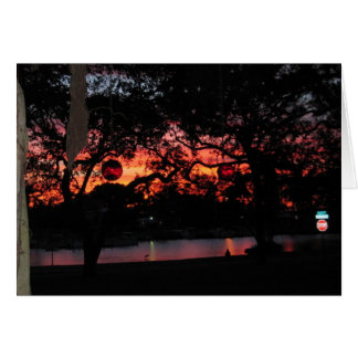 フロリダの日没