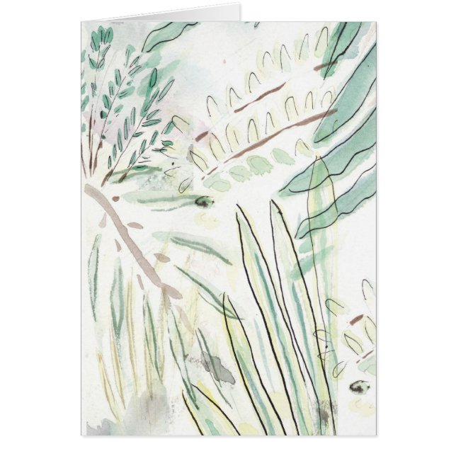 フロリダの植物相 (正面)