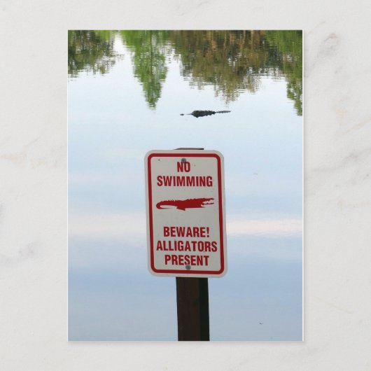 フロリダの歓迎のための委員会 ポストカード (正面)