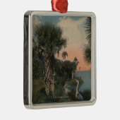 フロリダの海岸のビーチの素晴らしい青鷲 メタルオーナメント (右)