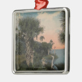 フロリダの海岸のビーチの素晴らしい青鷲 メタルオーナメント (左)