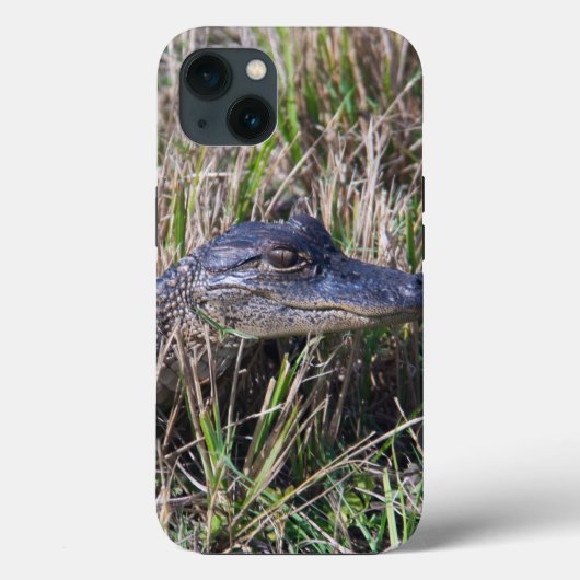 フロリダの湿地に生息するベビーアリゲーターの写真 Case-Mate iPhoneケース (裏面)