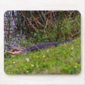 フロリダの湿地の写真 マウスパッド (正面)