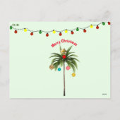 フロリダの湿地 ワイルドクリスマス シーズンポストカード (裏面)